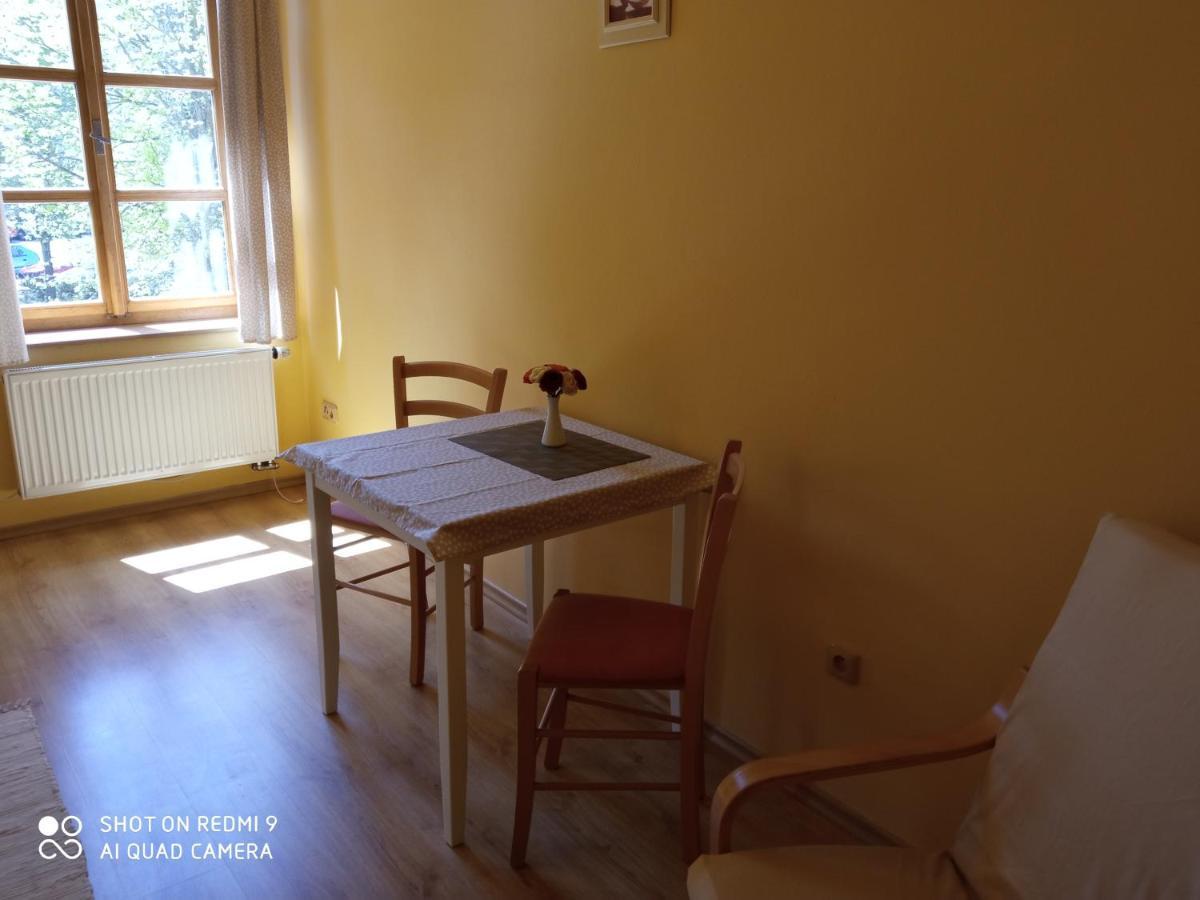 Penzion U Baby Třeboň Buitenkant foto